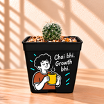 Mammillaria v2