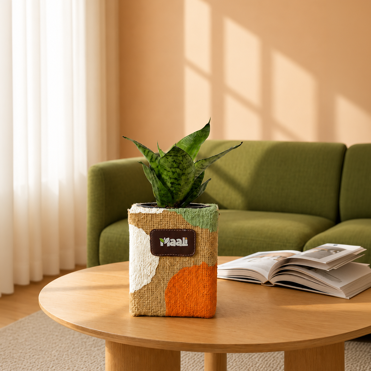 Snake Bird's Nest