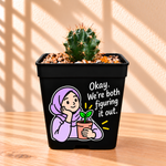 Coryphantha
