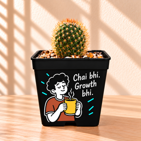 Chai & Growth