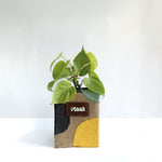 Money Plant Neon