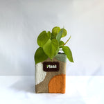 Money Plant Neon
