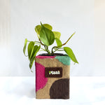 Money Plant Neon