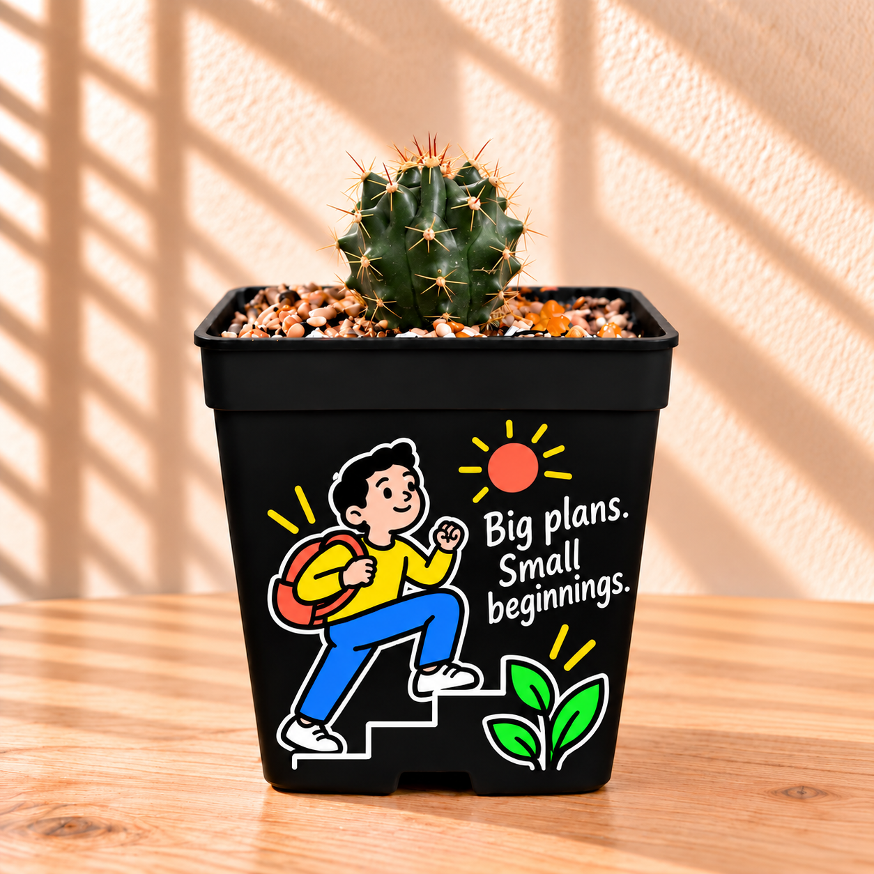 Coryphantha