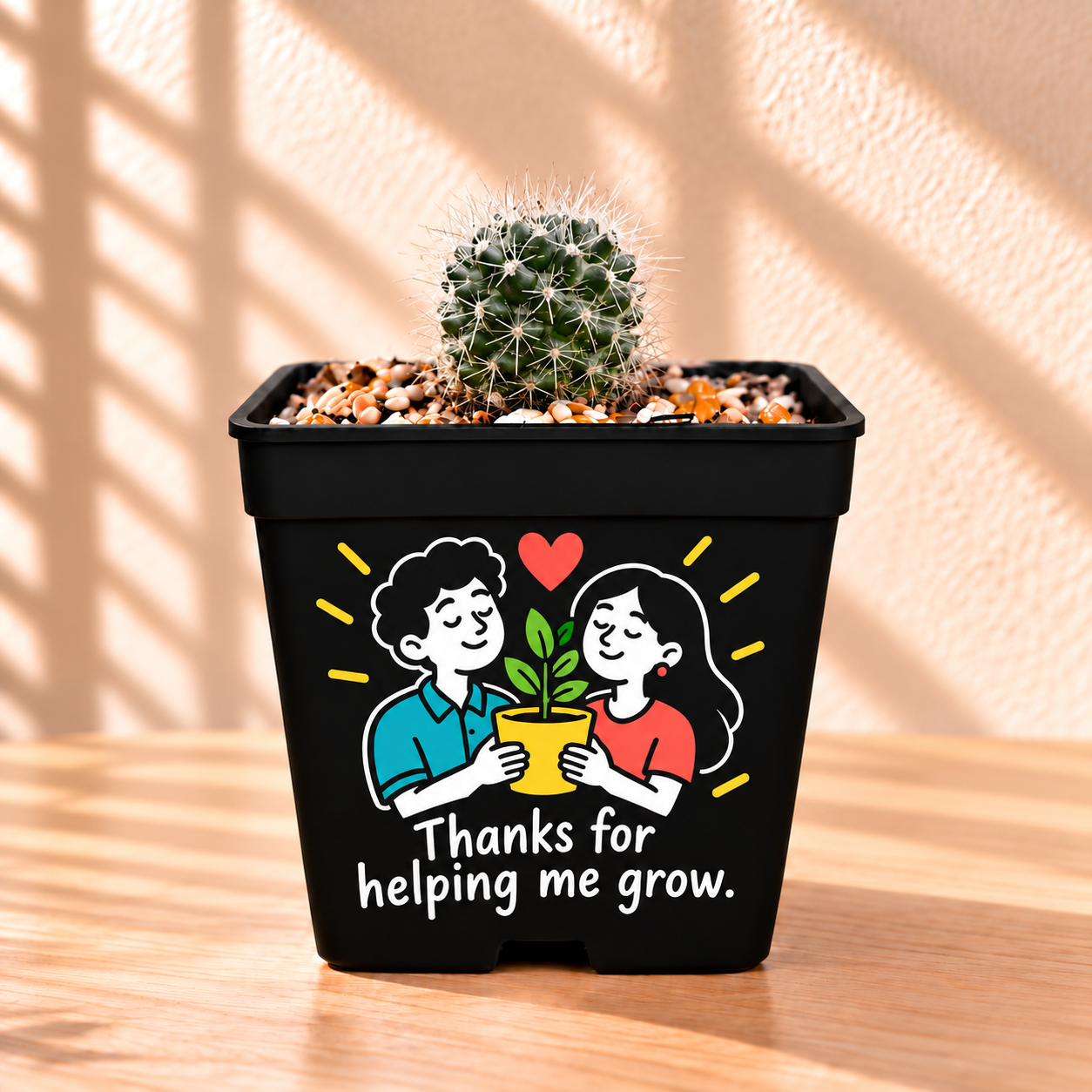 Mammillaria v2