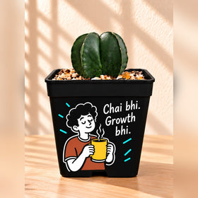 Chai & Growth