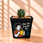 Coryphantha